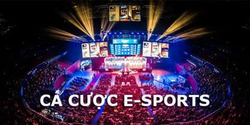 Hướng dẫn cá cược Esports lol nhanh nhất